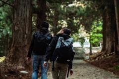 Two people with backpacks walk hand-in-hand along a path in a forest, with large trees on either side.