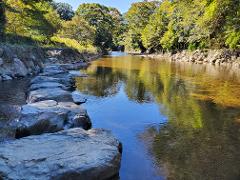 Ise/ Rental Electric Scooter~sacred river route~/90min A serene river flows past a rocky embankment lined with stepping stones, reflecting the lush green trees and clear blue sky above.