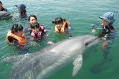 A group of children and adults are swimming with a dolphin in the ocean, with some of the people wearing life jackets and wetsuits.