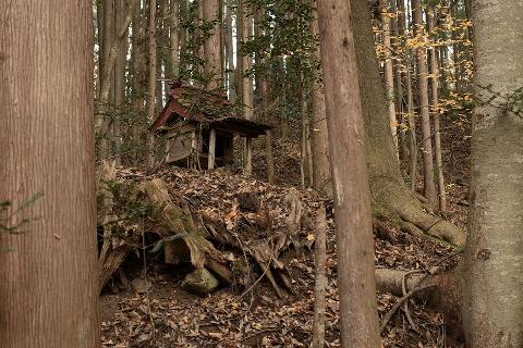 A small, weathered shrine rests atop a pile of fallen leaves and debris in a dense forest.