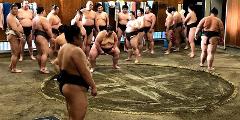 A plan to observe the morning practice of the sumo wrestles A group of sumo wrestlers stand around a sumo ring during morning practice.