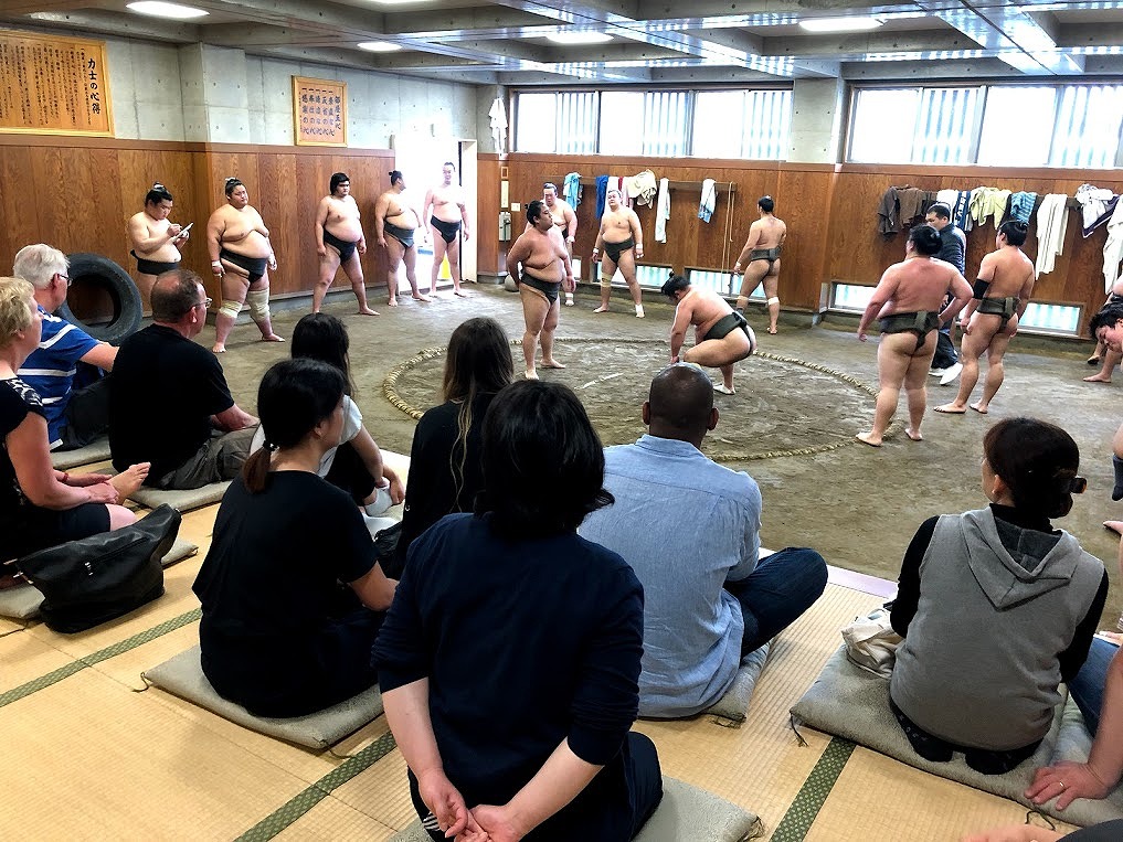 A plan to observe the morning practice of the sumo wrestles