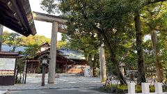 A Japanese shrine complex with a torii gate and traditional wooden buildings nestled among lush trees.