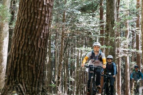Three men on bicycles ride through a forest on a dirt path.