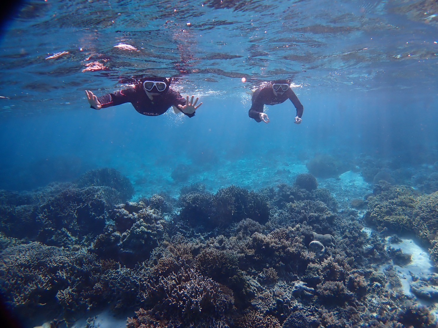 【One of the largest coral reef areas in the northern hemisphere】Private ...