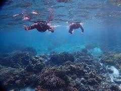 Two snorkelers in wetsuits explore a vibrant coral reef in Okinawa's clear blue waters, captured from an underwater perspective.