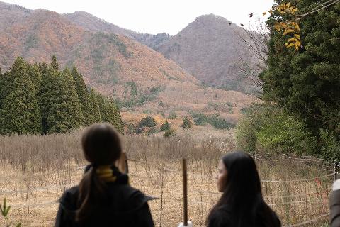 Two women look out at a fall landscape in Nikko National Park, with mountains displaying autumn colors and pine trees in the foreground.