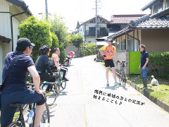 Three cyclists are seen from behind riding on a street, with a fourth cyclist standing and talking to a man by a house and a trash bag.
