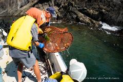 A man in an orange sweater and orange life vest is holding a fishing net filled with a green seaweed and some fish, standing on a boat next to a rocky shore.