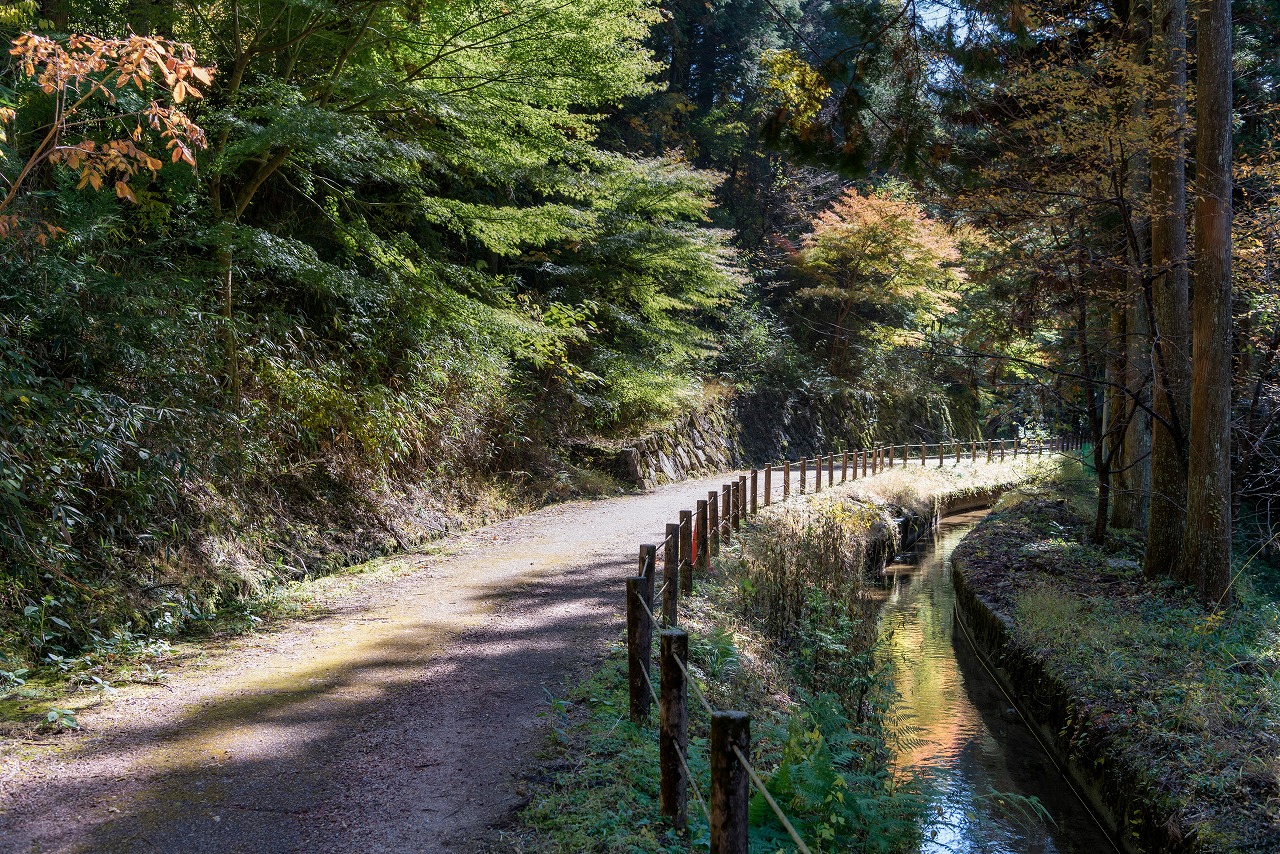 Feel the Water and Life of Hagiwara through The Sky Course