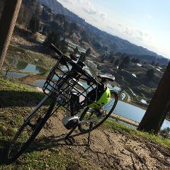 A bicycle with a bright green helmet sits on a grassy embankment overlooking terraced rice paddies with reflections of trees and sky.