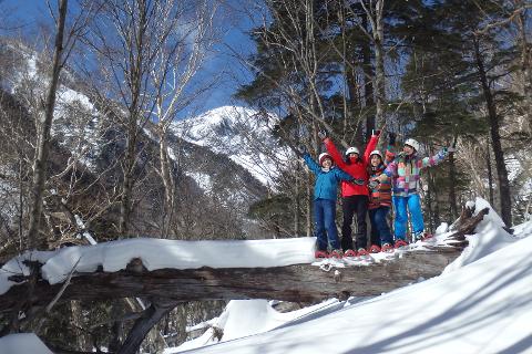 Four friends wearing snowshoes pose triumphantly with their arms raised on a snow-covered fallen tree in a winter forest with snow-capped mountains in the background.