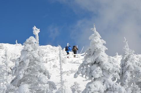 Two snow-covered figures trek up a steep, snowy slope surrounded by frost-covered trees under a bright blue sky.