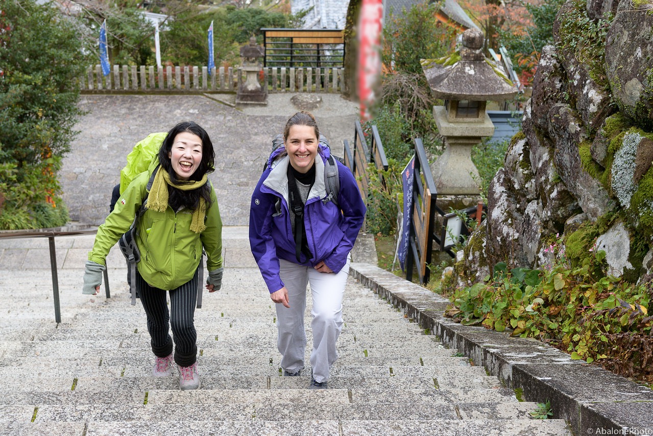 神戸・六甲山で5時間のハイキング＆自然の中でお茶会体験