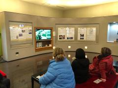 Three people are sitting facing a television screen in a museum display about Nishikigoi (koi carp).