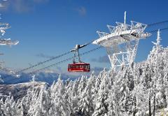 Beginners Snow Trekking: Enjoy the Great Outdoors of Tsubo-Niwa! A red cable car ascends a snowy mountain amidst snow-covered trees and a bright blue sky.