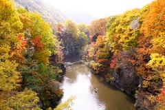 A scenic view of a river cutting through a gorge, lined with vibrant autumn foliage, and a canoe with people paddling through the water.