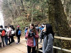 Refreshing Hike Around Yuno Lake: Revel in the Essence of Nikko's Nature and History