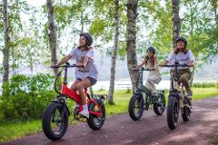 Three women in helmets ride electric bikes down a paved path lined with trees next to a lake.