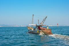 小島與漁夫底網捕魚體驗！遠眺瀨戶內海的美景現撈魚BBQ饗宴