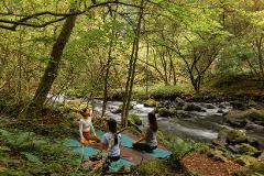 Refresh yourself by confronting nature in a mysterious land covered with primeval forests and moss. Meditation experience plan Three women practice yoga by a mossy, rocky stream in a lush, verdant forest.