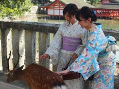 Two women in kimonos pet a deer near a stone barrier by a pond with buildings in the background.