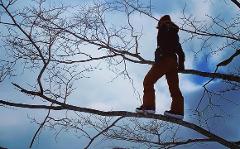 A person wearing brown pants, a dark jacket and a hat is walking on a branch of a bare tree against a background of a cloudy blue sky.