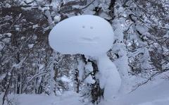 A unique snow formation resembling a mushroom with a face sits atop a tree, surrounded by snow-covered trees in a winter landscape.