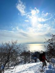 A person with a backpack walks through a snowy landscape with bare trees, with a view of a bright sea under a cloudy sky.