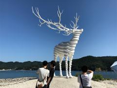 ＜Aug. and Sep. only!＞ Reborn-Art Festival: Visit 5 Major Areas on the Exciting Oshika Peninsula Bus Tour