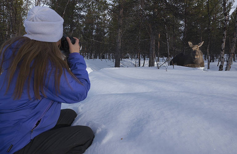 Private  Wildlife and nature photo tour