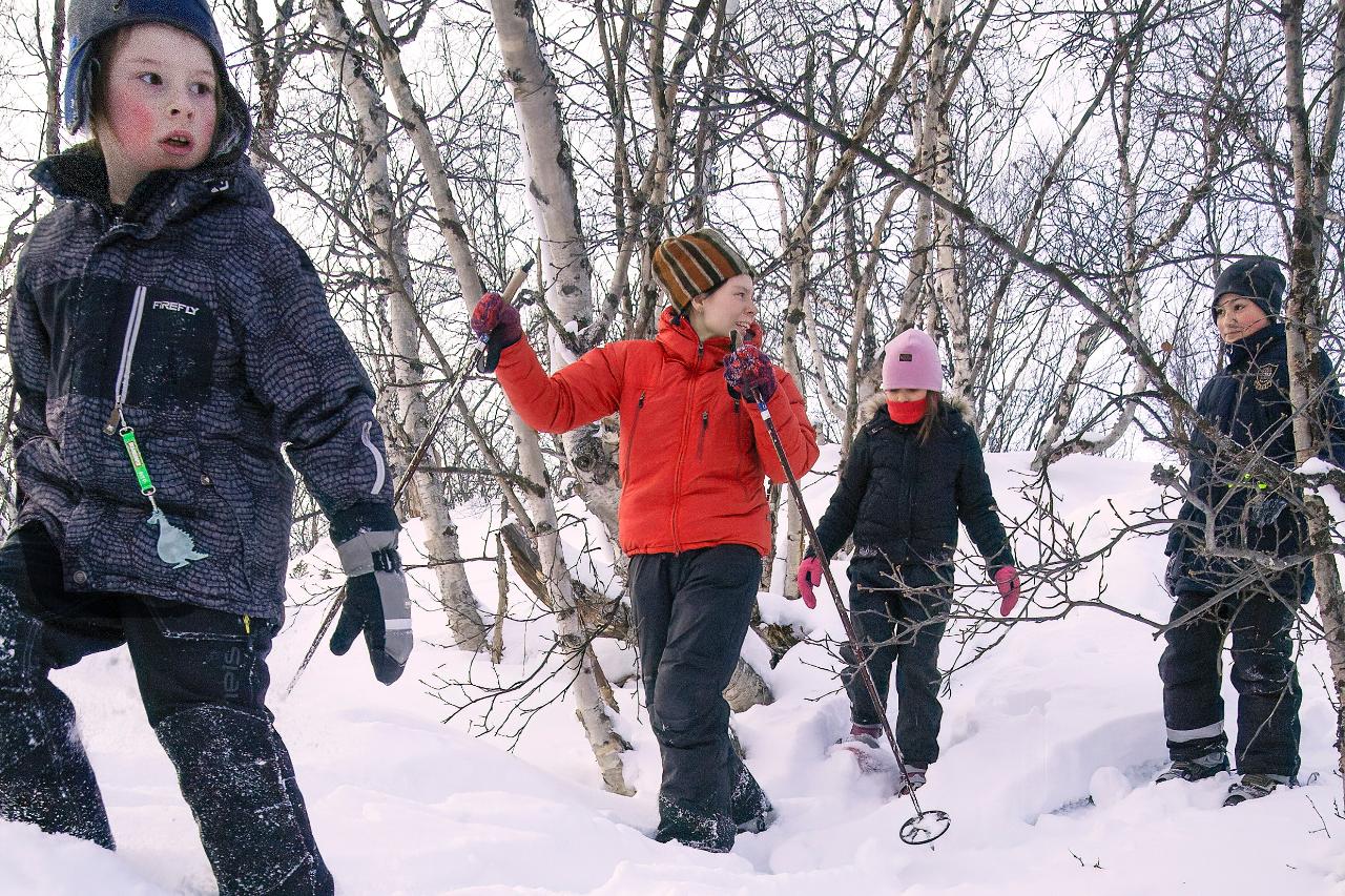 Snowshoe and nature hike in Kiruna