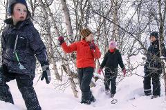 Snowshoe and nature hike in Kiruna