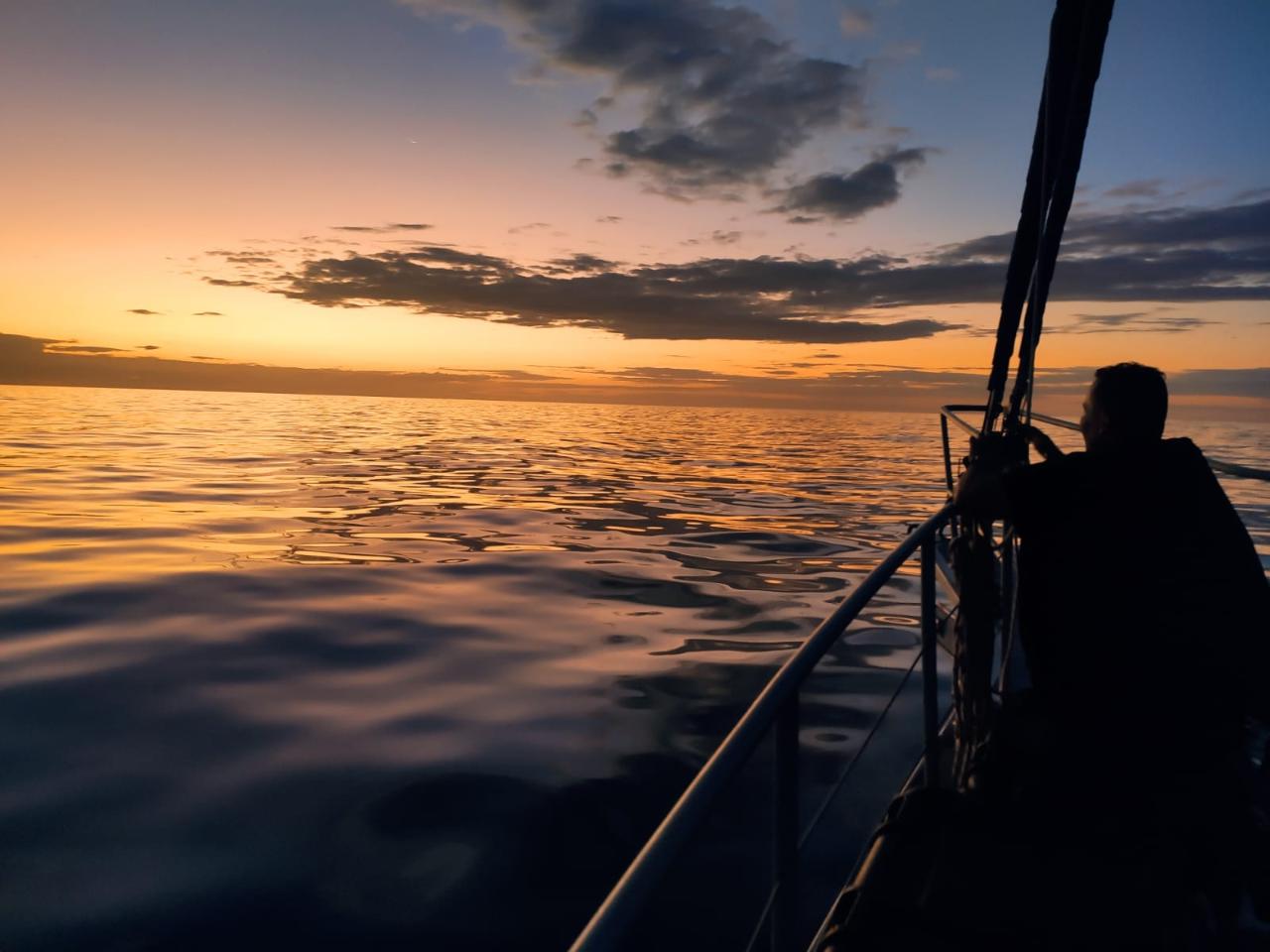 Whales at Sunset