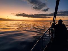 Whales at Sunset