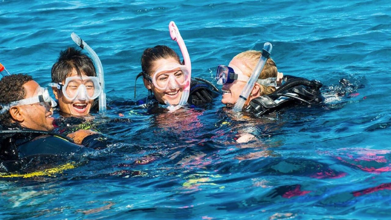 COURSE: Discover Scuba Diving