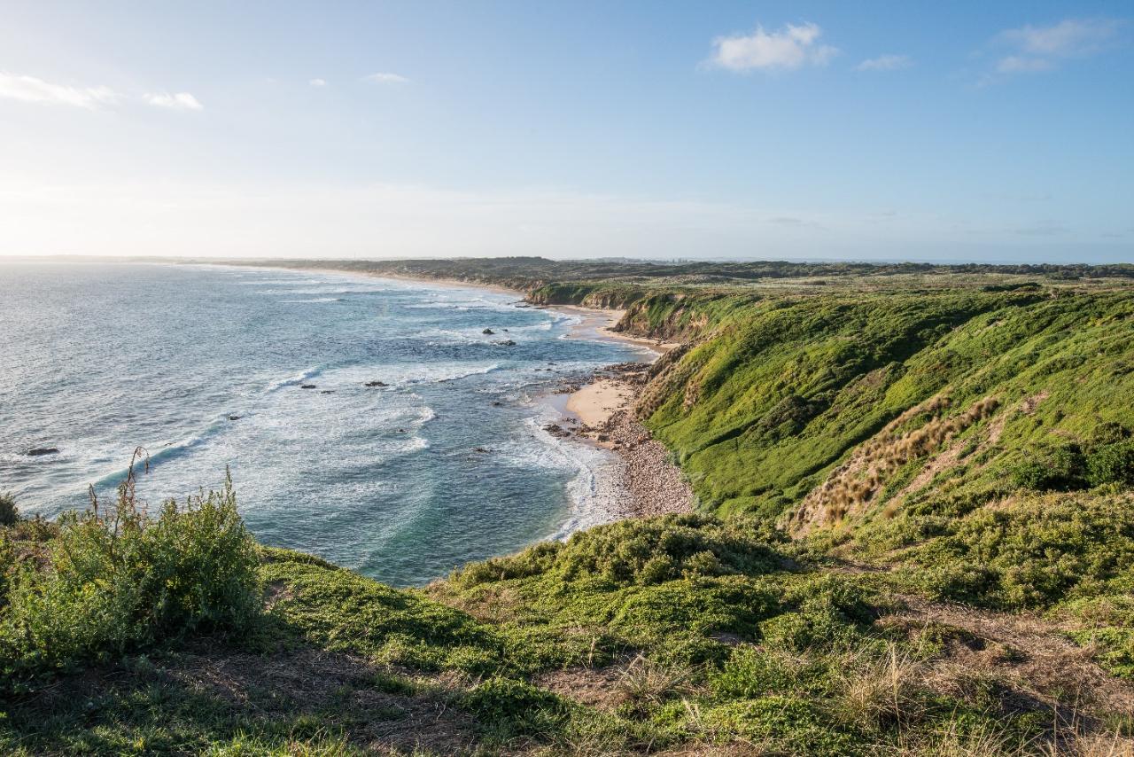 Phillip Island Odyssey: Hike and Aussie Wildlife