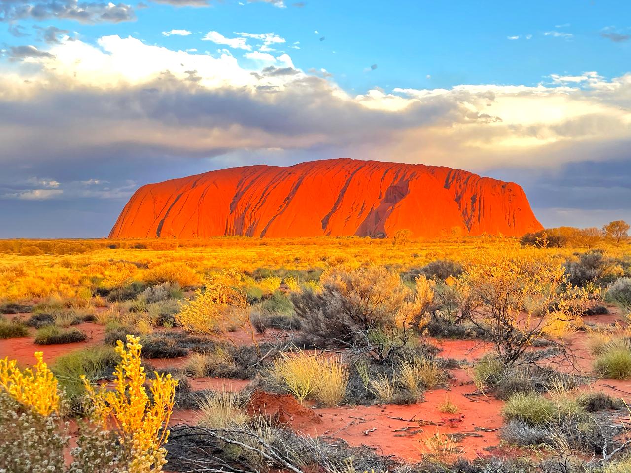  SUNRISE Ayers Rock Uluru Private Tour 