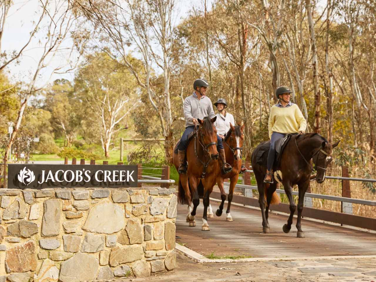 Vineyard Horse Ride & Romantic Picnic at Jacob's Creek — Barossa Valley - Photo 6