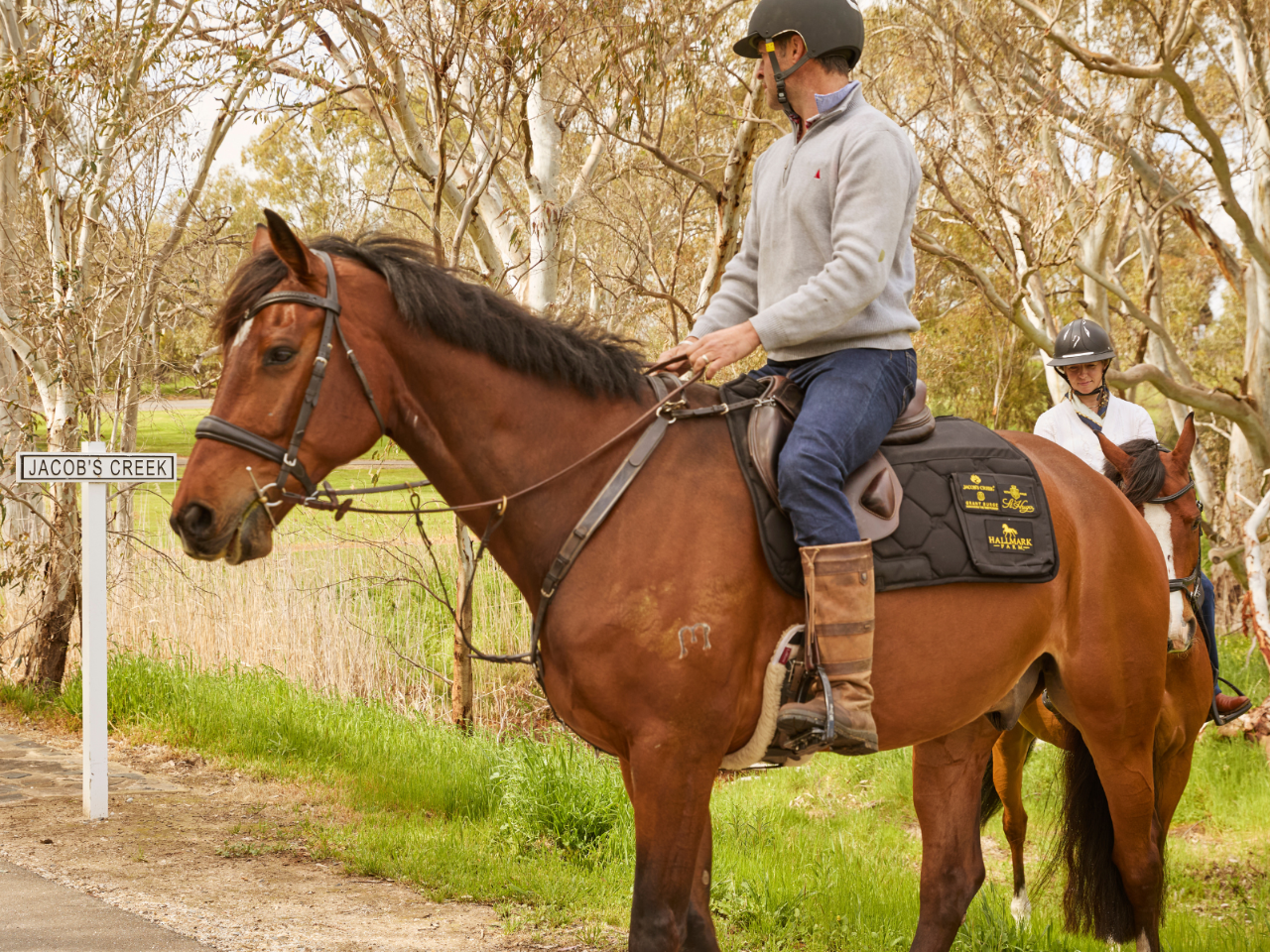 Vineyard Horse Ride & Romantic Picnic at Jacob's Creek — Barossa Valley - Photo 7