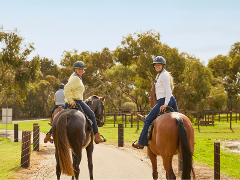 Vineyard Horse Ride & Romantic Picnic at Jacob's Creek