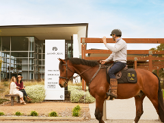 Scenic Horse Ride (1.5hr) & Private Curated Tasting Experience at Jacob's Creek