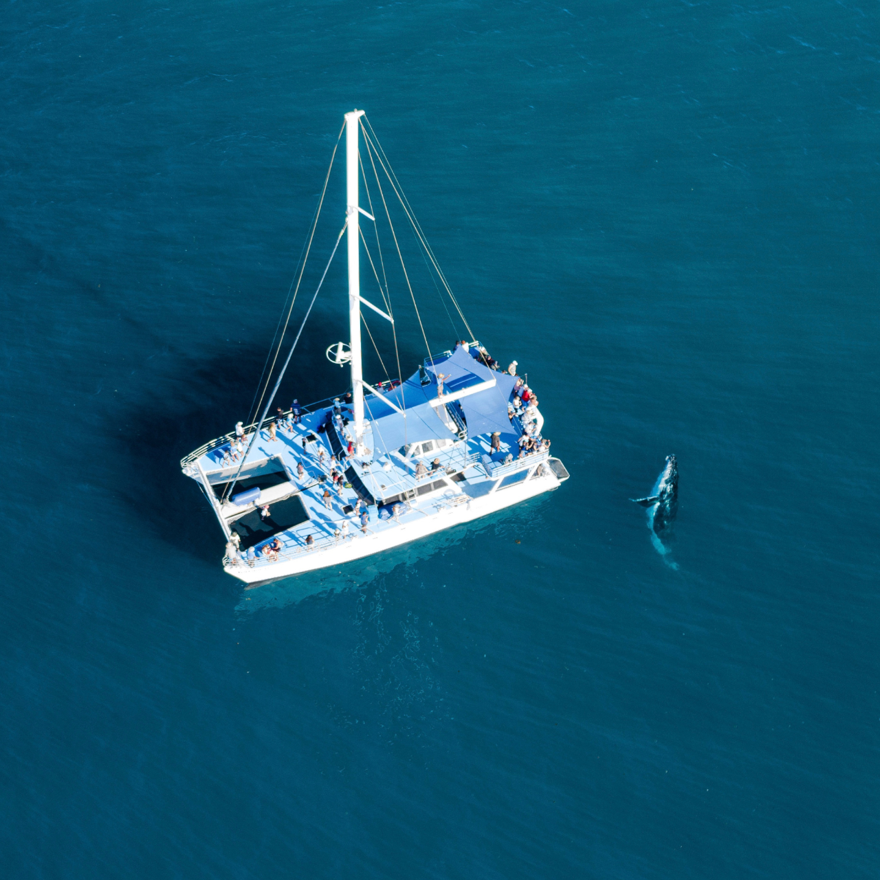 Exclusive Hire - Large Group (Max 130 guests)