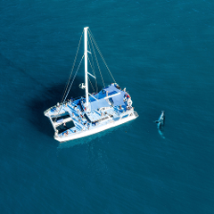  Exclusive Hire - Large Group (Max 130 guests)