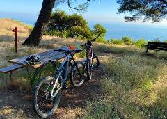 MOUNT WILSON TOLL ROAD TRAIL (Altadena) Electric MTB - Freeride 180min -  (Beginner)