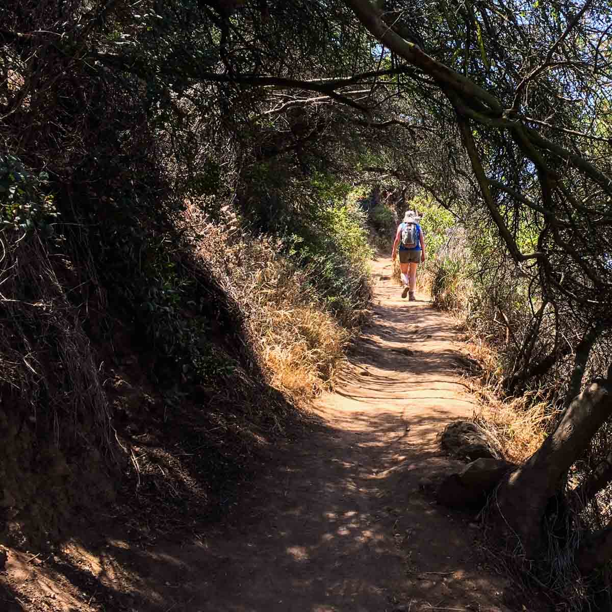 Topanga Canyon Hiking Tour LifeRush Adventures Reservations