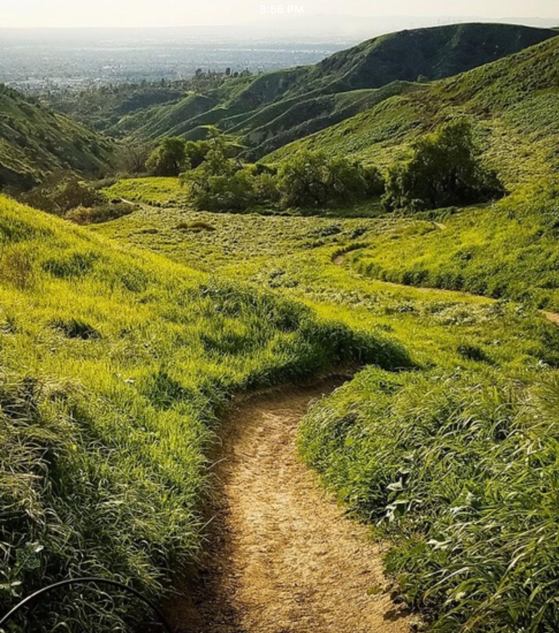 TURNBULL CANYON (Whittier) Electric MTB - Freeride - (BEGINNER)