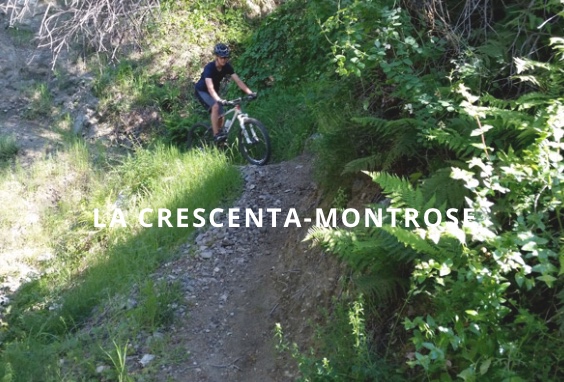 HAINES CANYON with Blue Bug (La Crescenta-Montrose) Electric MTB - Freeride/Downhill 90 min - (ADVANCED)