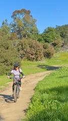 Fullerton Loop Beginner Electric Mountain Bike Tour