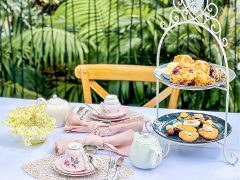 Rosy Tea Party 